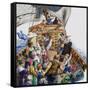 Onboard the Mayflower-null-Framed Stretched Canvas
