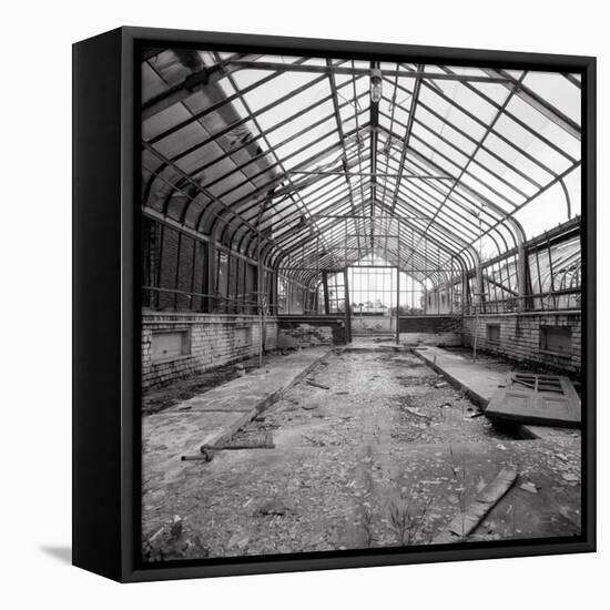 Once a Greenhouse-Evan Morris Cohen-Framed Stretched Canvas
