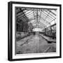 Once a Greenhouse-Evan Morris Cohen-Framed Photographic Print