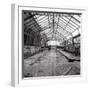 Once a Greenhouse-Evan Morris Cohen-Framed Photographic Print