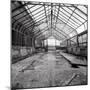 Once a Greenhouse-Evan Morris Cohen-Mounted Photographic Print