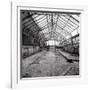 Once a Greenhouse-Evan Morris Cohen-Framed Photographic Print