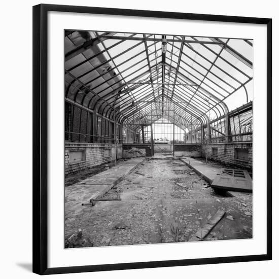 Once a Greenhouse-Evan Morris Cohen-Framed Photographic Print