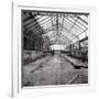 Once a Greenhouse-Evan Morris Cohen-Framed Photographic Print