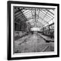 Once a Greenhouse-Evan Morris Cohen-Framed Photographic Print