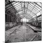 Once a Greenhouse-Evan Morris Cohen-Mounted Photographic Print