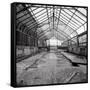 Once a Greenhouse-Evan Morris Cohen-Framed Stretched Canvas