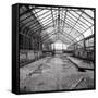 Once a Greenhouse-Evan Morris Cohen-Framed Stretched Canvas