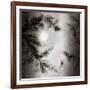 Once it Was Snowing-Mindy Sommers-Framed Giclee Print