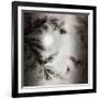 Once it Was Snowing-Mindy Sommers-Framed Giclee Print