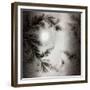 Once it Was Snowing-Mindy Sommers-Framed Giclee Print