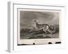 Once Known as the Persian Greyhound-H.r. Cook-Framed Art Print