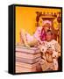 Once Upon a Mattress-null-Framed Stretched Canvas