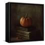 Once Upon a Pumpkin-Delphine Devos-Framed Stretched Canvas