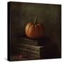 Once Upon a Pumpkin-Delphine Devos-Stretched Canvas