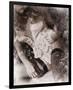 Once Upon a Time IX-null-Framed Premium Giclee Print