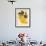 Oncidium Concolor-John Nugent Fitch-Framed Giclee Print displayed on a wall