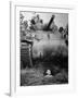 Oncoming View of Tank About to Pass over Foxhole in Which a Soldier is Crouched Down-Myron Davis-Framed Photographic Print