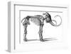 Oncoul Mammoth, 19th Century Artwork-Science Photo Library-Framed Photographic Print