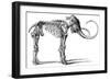 Oncoul Mammoth, 19th Century Artwork-Science Photo Library-Framed Photographic Print