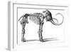 Oncoul Mammoth, 19th Century Artwork-Science Photo Library-Framed Photographic Print