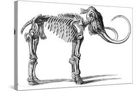 Oncoul Mammoth, 19th Century Artwork-Science Photo Library-Stretched Canvas