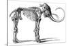 Oncoul Mammoth, 19th Century Artwork-Science Photo Library-Stretched Canvas