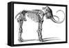 Oncoul Mammoth, 19th Century Artwork-Science Photo Library-Framed Stretched Canvas