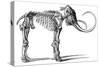 Oncoul Mammoth, 19th Century Artwork-Science Photo Library-Stretched Canvas