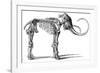 Oncoul Mammoth, 19th Century Artwork-Science Photo Library-Framed Photographic Print