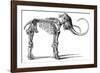 Oncoul Mammoth, 19th Century Artwork-Science Photo Library-Framed Photographic Print