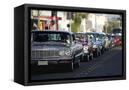 Canvas Black
