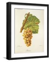 Ondenc Grape-J. Troncy-Framed Giclee Print