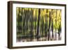 Ondine-Viviane Fedieu Daniel-Framed Photographic Print