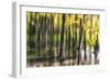 Ondine-Viviane Fedieu Daniel-Framed Photographic Print