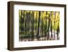 Ondine-Viviane Fedieu Daniel-Framed Photographic Print