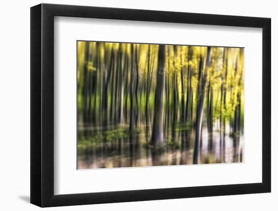 Ondine-Viviane Fedieu Daniel-Framed Photographic Print