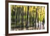 Ondine-Viviane Fedieu Daniel-Framed Photographic Print