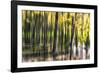 Ondine-Viviane Fedieu Daniel-Framed Photographic Print