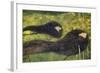 Ondine-Gustav Klimt-Framed Premium Giclee Print