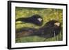 Ondine-Gustav Klimt-Framed Premium Giclee Print