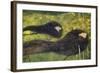 Ondine-Gustav Klimt-Framed Giclee Print