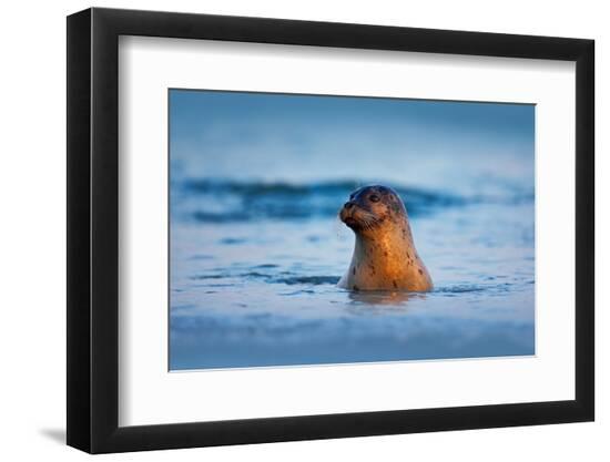 Premium Photographic Print, , large