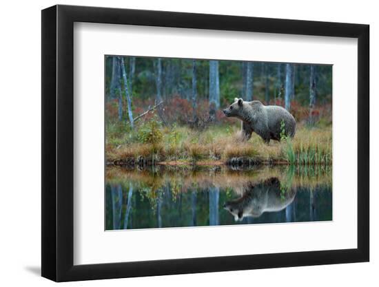 Premium Photographic Print, , large