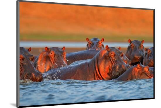 Photographic Print, , large