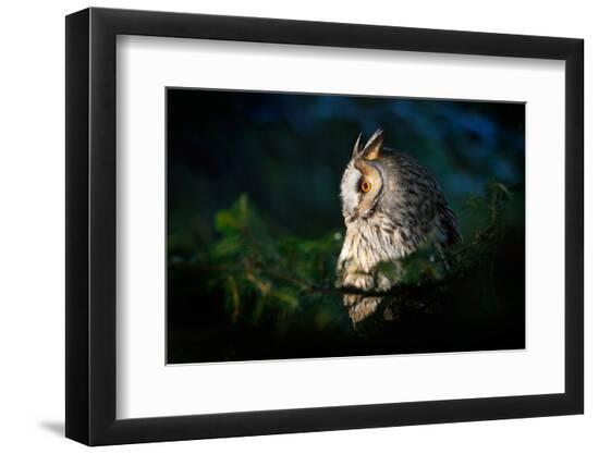 Premium Photographic Print, , large