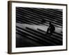 One After Another-Sharon Wish-Framed Photographic Print