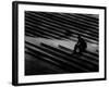 One After Another-Sharon Wish-Framed Photographic Print