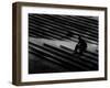 One After Another-Sharon Wish-Framed Photographic Print