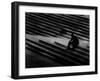 One After Another-Sharon Wish-Framed Photographic Print